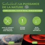 Dégraissant express pour cuisines Ecocert