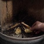 Rouleaux allume feu FSC pour poêle, cheminée et barbecue