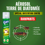 Aérosol Terre de diatomée