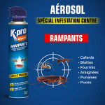 Aérosol tous insectes RAMPANTS