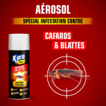 Aérosol foudroyant cafards et blattes