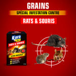 Grains rats et souris