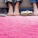 Comment nettoyer à sec une moquette ou un tapis ?