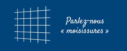 Parlez-nous moisissures